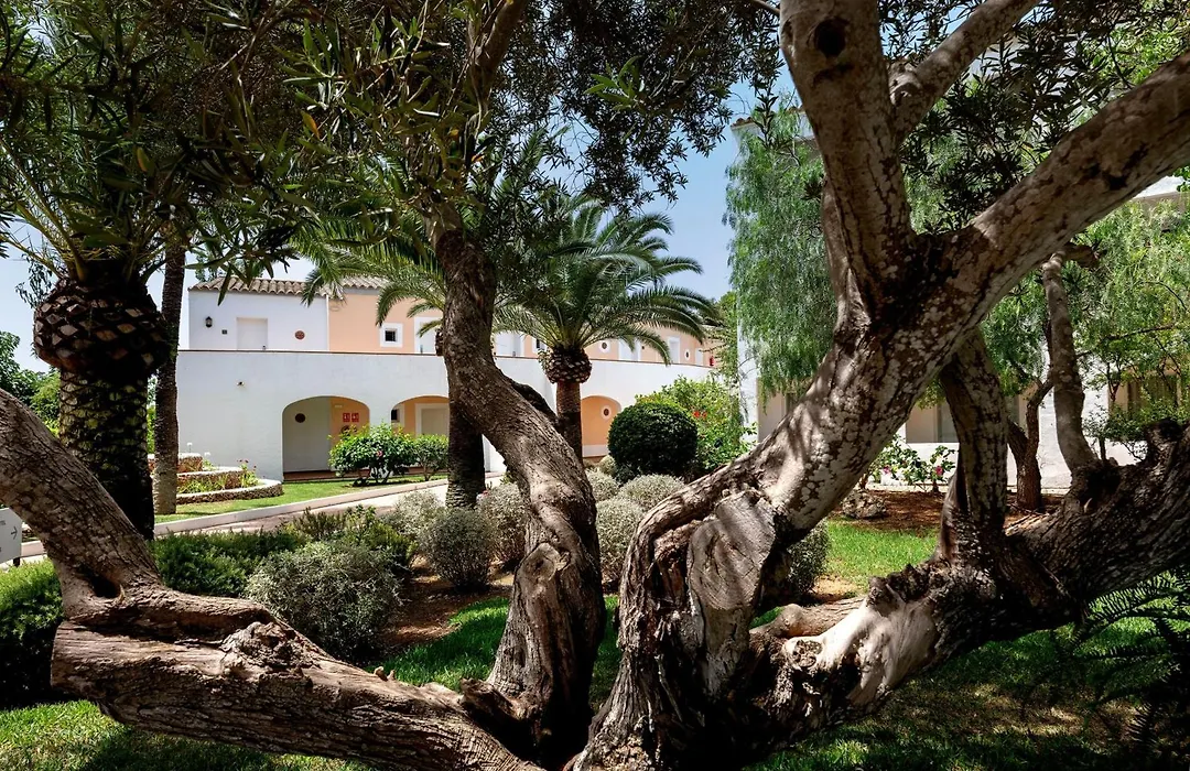 Sol By Melia Falco Menorca-1